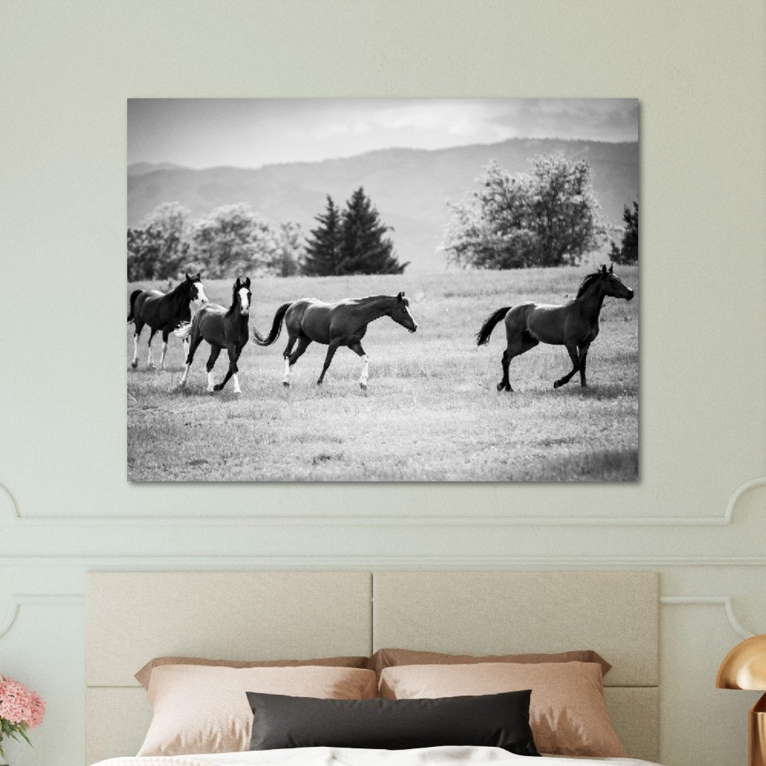 Black and White Horses Art, Animal Print, Nordic Wall Art, Horse Wall Art, Nature Wall Art