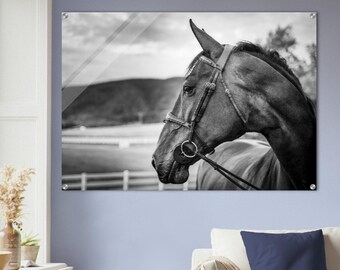 Zwart-wit paard acryl muur print-perfect voor uw interieur