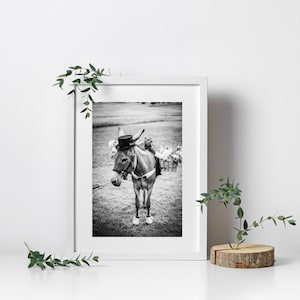 Black and White Donkey Digital Download Photo | Animal Photography Wall Art