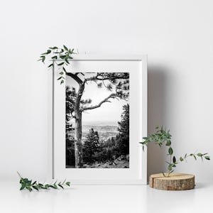 Colorado Mountains Digital Download - Instant Download, Wall Art Prin