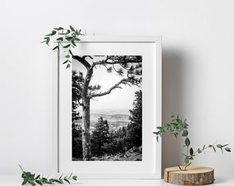 Colorado Mountains Digital Download - Instant Download, Wall Art Prin