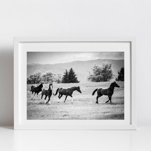 Black and White Wild Horses Digital Download Photo | Animal Photography Wall Art