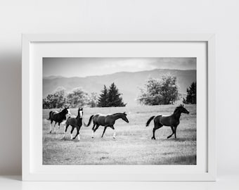 Black and White Wild Horses Digital Download Photo | Animal Photography Wall Art