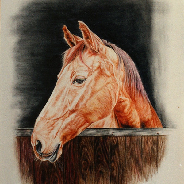 Portrait couleur au pastel sec " Le cheval " portraits d'animaux sur commande d'après photo