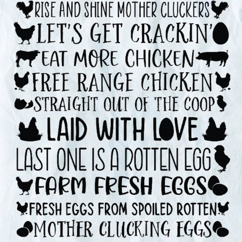 Egg Container Sayings Svg, Egg Svg, Farm Fresh Eggs Svg, Chicken Egg