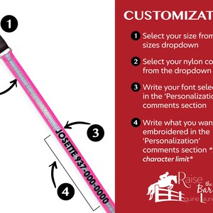 May include: A pink nylon dog collar with a silver reflective strip and a black leather buckle. The collar is personalized with the text "JOSETTE 937-000-0000".