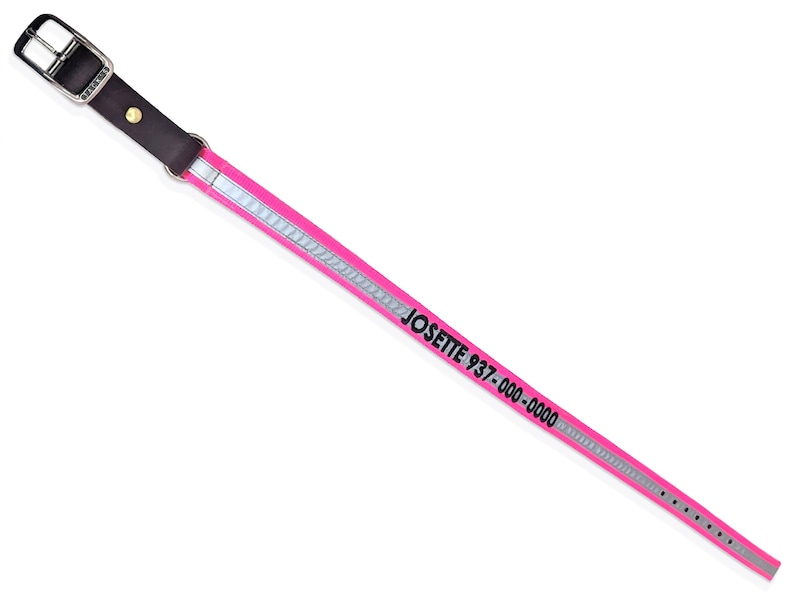 May include: A pink dog collar with a black leather buckle and reflective silver strip. The collar has the text "JOSETTE 937-000-0000" printed on it.