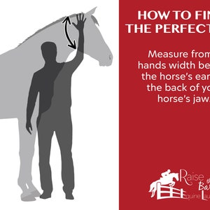 May include: Illustration showing how to measure a horse's head for a perfect fit. A person is standing next to a horse, with their arm raised to show the measurement point. The text reads "HOW TO FIND THE PERFECT FIT. Measure from a hands width behind the horse's ears to the back of your horse's jaw."  Raise the Bar Equine Laundry.