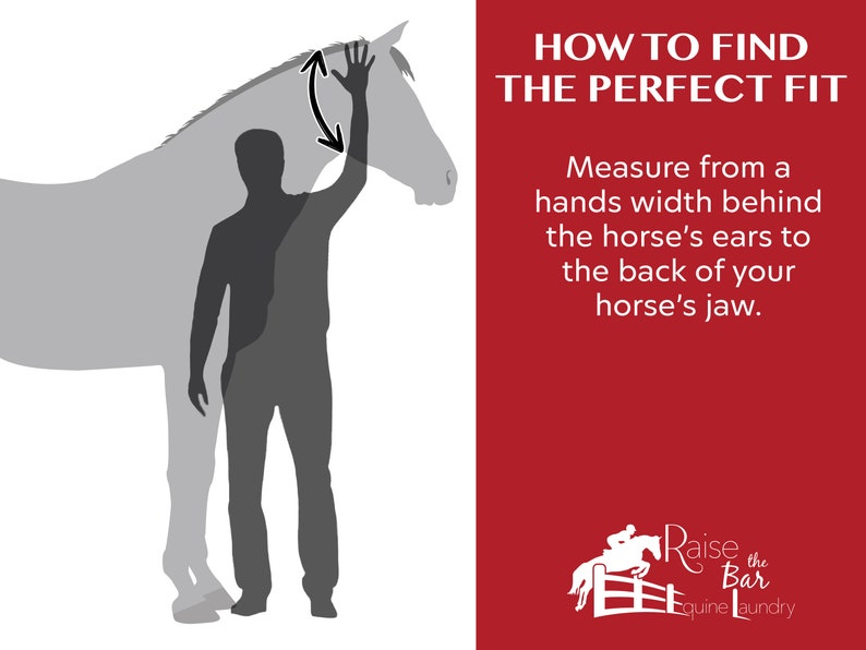May include: Illustration showing how to measure a horse's head for a perfect fit. A person is standing next to a horse, with their arm raised to show the measurement point. The text reads "HOW TO FIND THE PERFECT FIT. Measure from a hands width behind the horse's ears to the back of your horse's jaw."  Raise the Bar Equine Laundry.