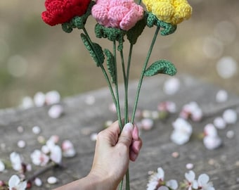 Hand Crocheted Roses – Handmade Crochet Roses – Forever Flowers Gift – Colorful Knitted Roses – Valentine’s Day / Mother’s Day Gift