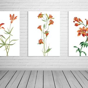 Set of 3 Vintage Orange Botanical Prints | Boho Triptych | Burnt Orange Floral Set | Vintage Wall Art Triptych | Tryptic Printable Wall Art