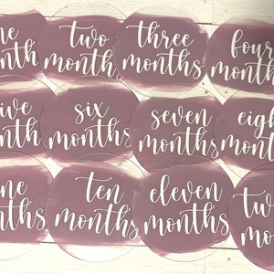 Monthly Baby Milestone Photo Rounds