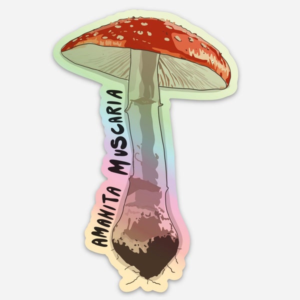 Amanita Mushroom Holographic Sticker, Mushroom Sticker, Amanita Muscaria, Fungi