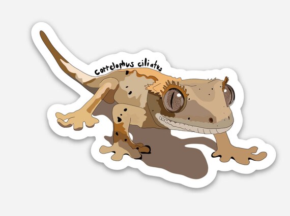 Crested gecko decal cheap