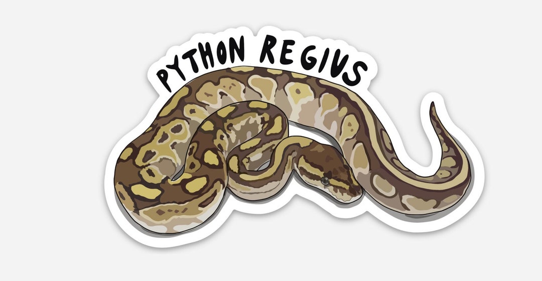 Ball Python Sticker, Python Regius, Snake Sticker, Reptile Art - Etsy