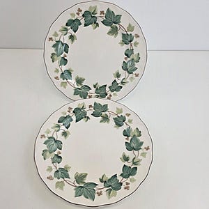 Puede incluir: Dos platos de cerámica blanca con borde festoneado. Cada plato presenta un diseño de hojas de hiedra verdes y verde claro alrededor del borde. Los platos tienen un borde marrón y están sobre un fondo blanco.