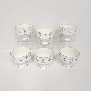 Vintage 1960&#39;s Royal Victoria Set of 6 Bone China Floral Sherbert - Dessert Cups - Bowls