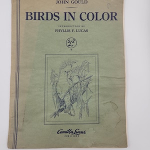 Set di 8 stampe vintage di uccelli a colori di J Gould, anni '50 - Perfette per incorniciare - 12" x 9"