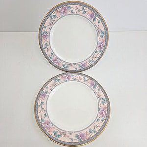 Puede incluir: Dos platos de cerámica blanca con un diseño floral. Los platos tienen un borde rosa con un patrón floral en tonos morados y verdes. Un borde dorado y un borde gris en forma de cuerda completan el diseño. Los platos son probablemente para comer o exhibir.