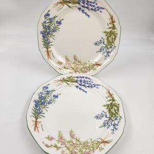 Vintage Mikasa Botanischer Garten Paar Speiseteller