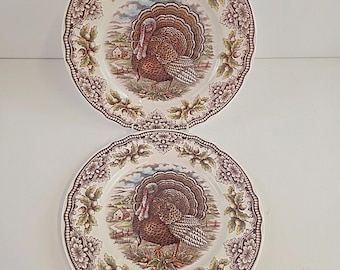 Homeland Turkey - Victorian English Pottery - Royal Stafford Set of 2 Dinner Plates