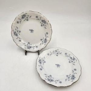 Vintage 1980&#39;s Johann Haviland Blue Garland Bread and Butter Plates