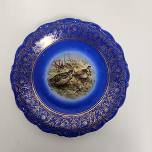 Vintage Turn of the Century Blue and Gold Trim Plate Featuring a Pair of Woodcock Birds