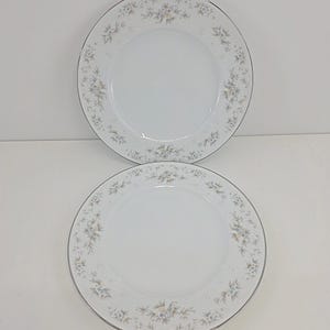 Vintage Noritake Irland Patience 2964 Set med 2 middagstallrikar