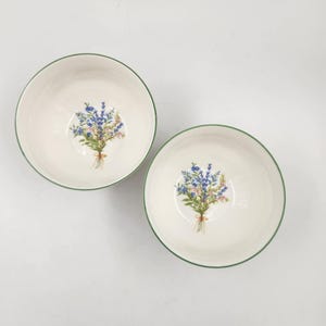 Vintage Mikasa Botanical Garden Pair of Soup - Cereal Bowls