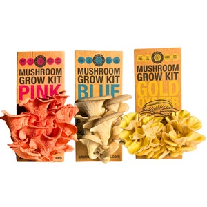 Mushroom Growing Kit