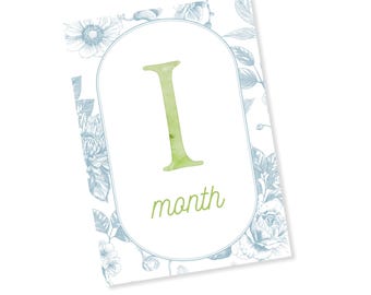 Baby Blue & Green Monthly Milestone Cards, By the Month Baby Photos, Newborn Milestones, Blue Baby Gift, Baby Shower Gift, Milestone Markers
