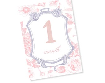 Baby Girl Pink Monthly Milestone Cards, By the Month Baby Photos, Newborn Milestones, Pink Baby Gift, Baby Shower Gift, Milestone Markers