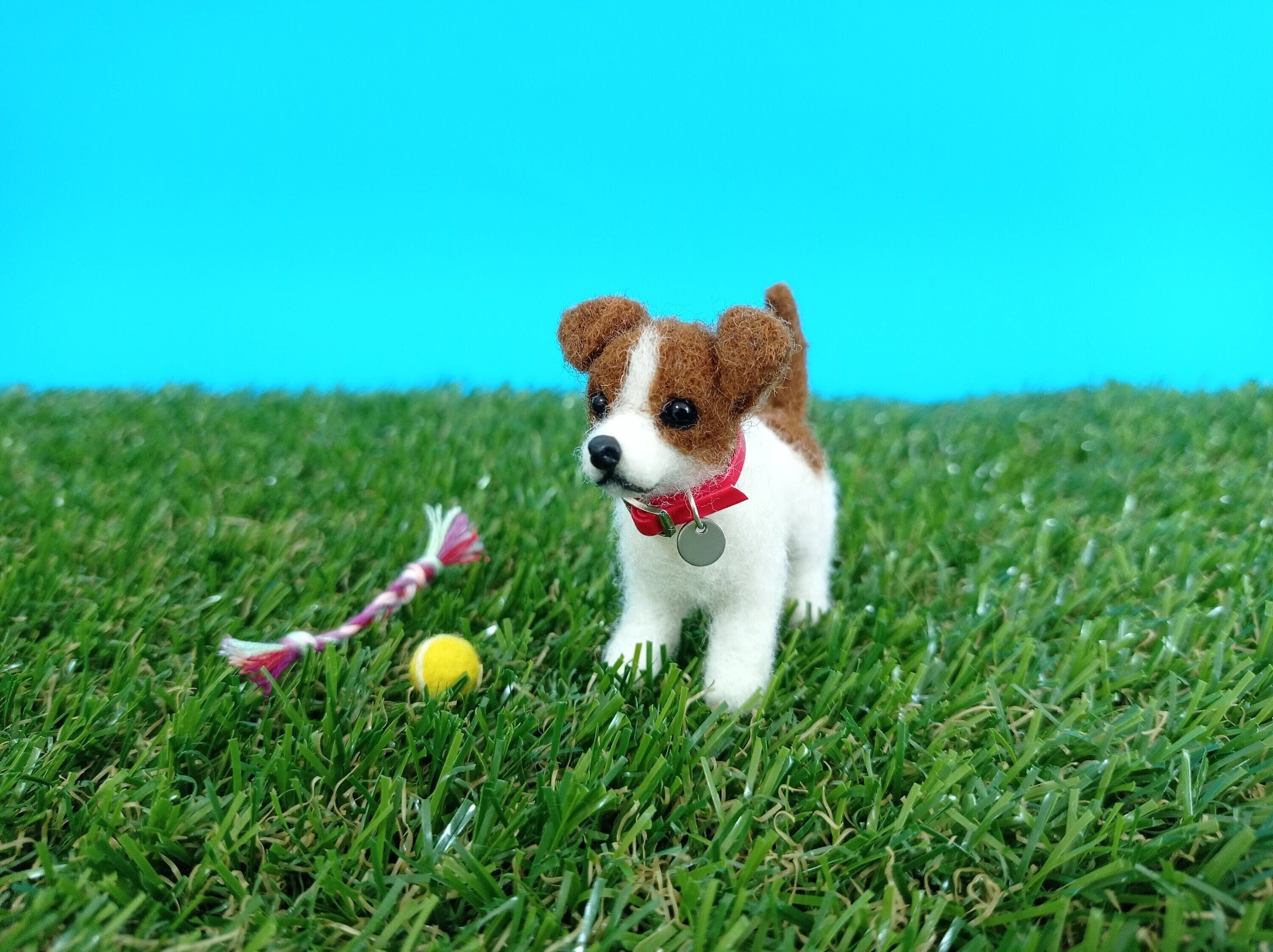 best toys for jack russell