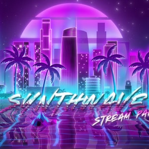 Synthwave Neon City アニメーション Twitch オーバーレイ パック | レトロ ストリーム パッケージ | スクリーン、アラート、パネル、スティンガー トランジション、バナー、ロゴ、ヘッダー
