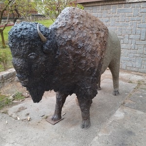 ¡TAMAÑO DE LA VIDA DEL BÚFALO! El único en el mundo