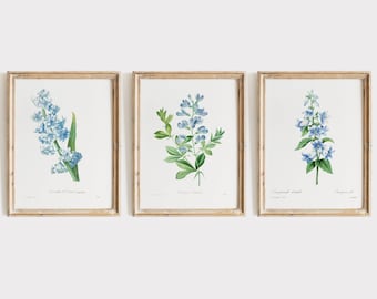 Blaue Blume Botanische Drucke Set: Französische Vintage Blumen Kunst (Digitaler Download)