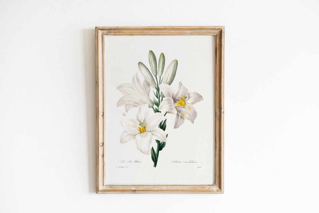 White Flowers Wall Art Vintage Flower Print Easter Lily Poster ...