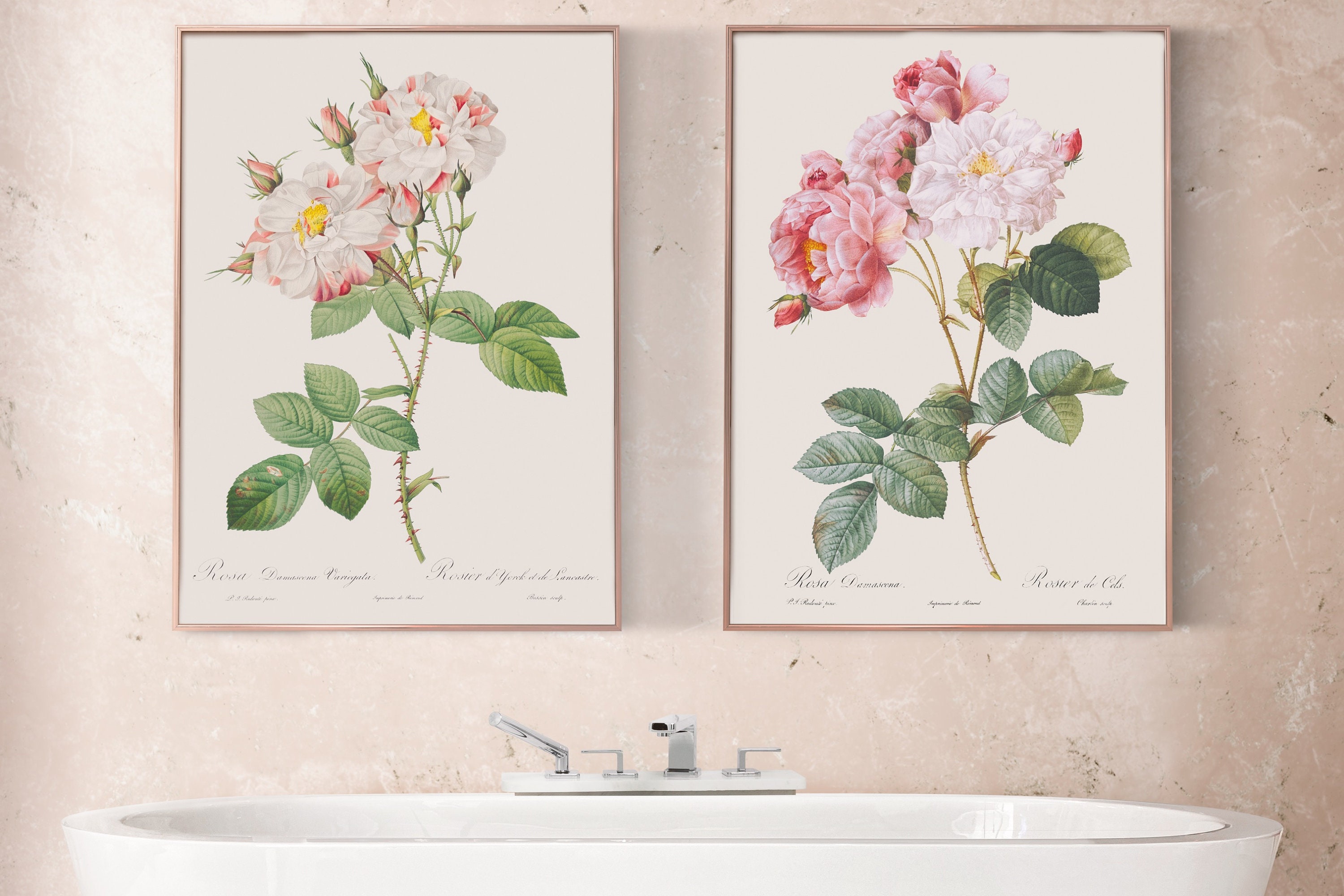 Rose Art Print Vintage Rose Wall Art Minimalist Flower Vintage Print ...