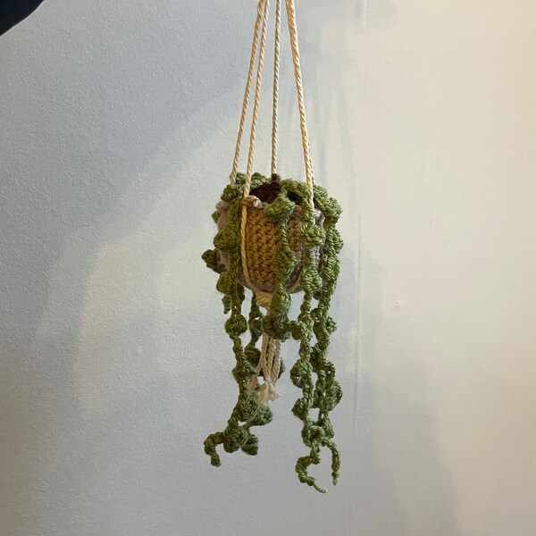 crochet hanging plant