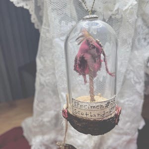 Fairy cap ornaments: Red Feather. Found near a castle in Scotland!