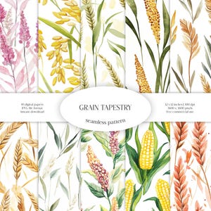 Motivo arazzo di grano senza soluzione di continuità / Pacchetto di carta digitale JPG di cereali / Sfondo raccolto / Tessuto verde / Piastrelle di grano, riso, mais, amaranto