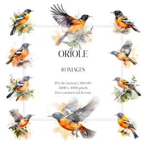 Aquarelle Oriole | Ensemble JPG Oiseau orange | Papeterie, Impression numérique, Fabrication de cartes, Créations en papier, Vêtements, Collage, Journal, Chambre de bébé