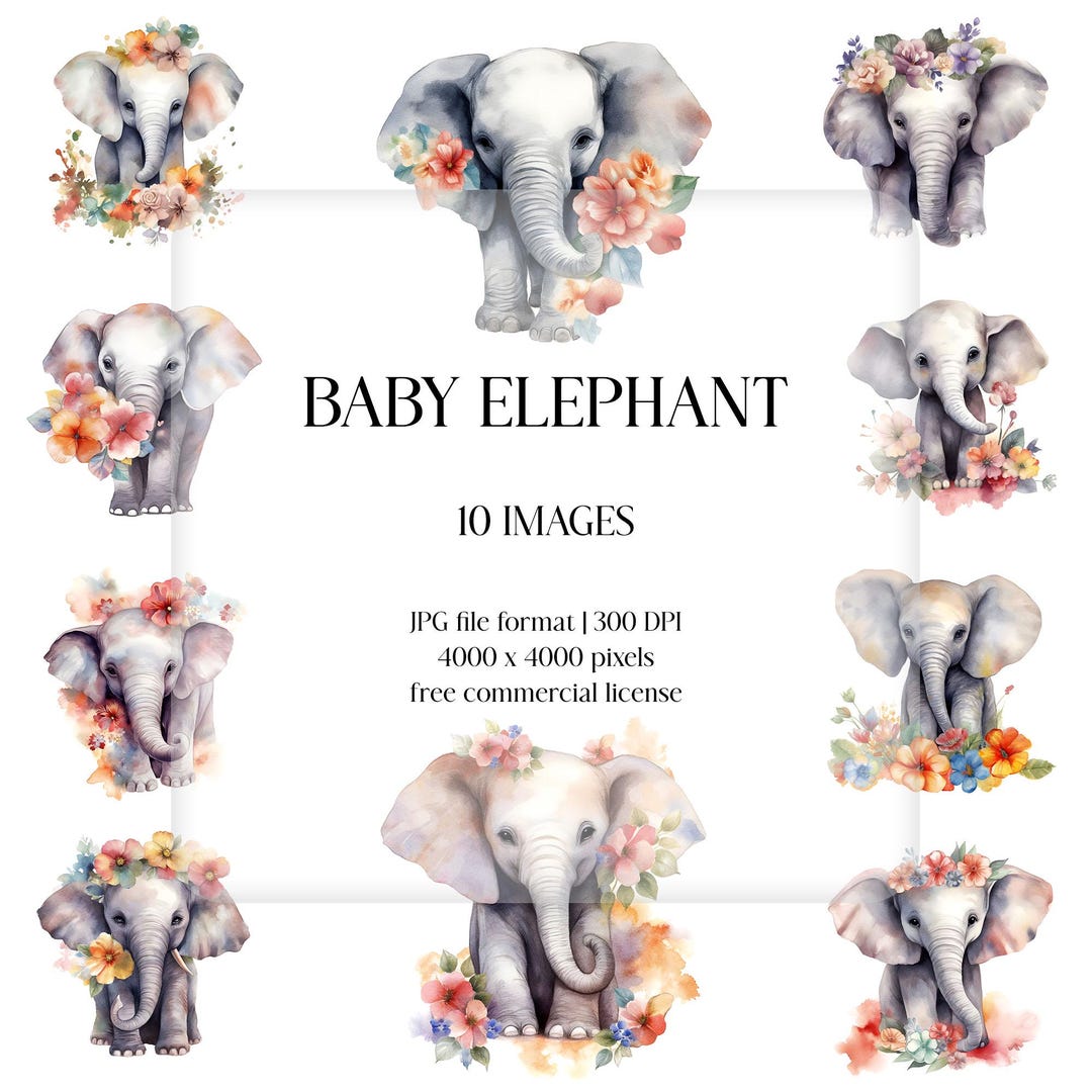 Watercolor Baby Elephant Clipart | Floral Safari Animal, JPG Set ...