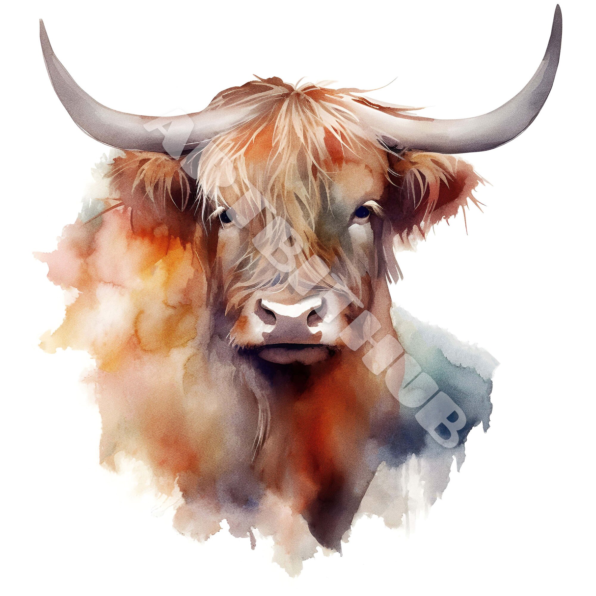 Highland Cow Watercolor Clipart | Farm Animal JPG Collection (digital ...