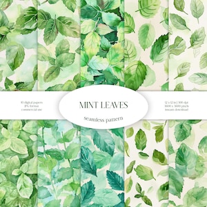 Modèle sans couture aquarelle de feuilles de menthe | Paquet de papier numérique JPG de verdure et de fleurs | Texture d'arrière-plan | Feuille ornementale | Vêtements, Tissu