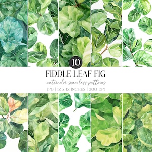 Wzór akwarelowy z figowcem lirolistnym | Bezszwowa tkanina z zielonymi motywami (pakiet papieru cyfrowego JPG)
