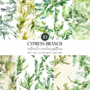 Aquarelle branche de cyprès | Papier numérique Winter Greenery (JPG)