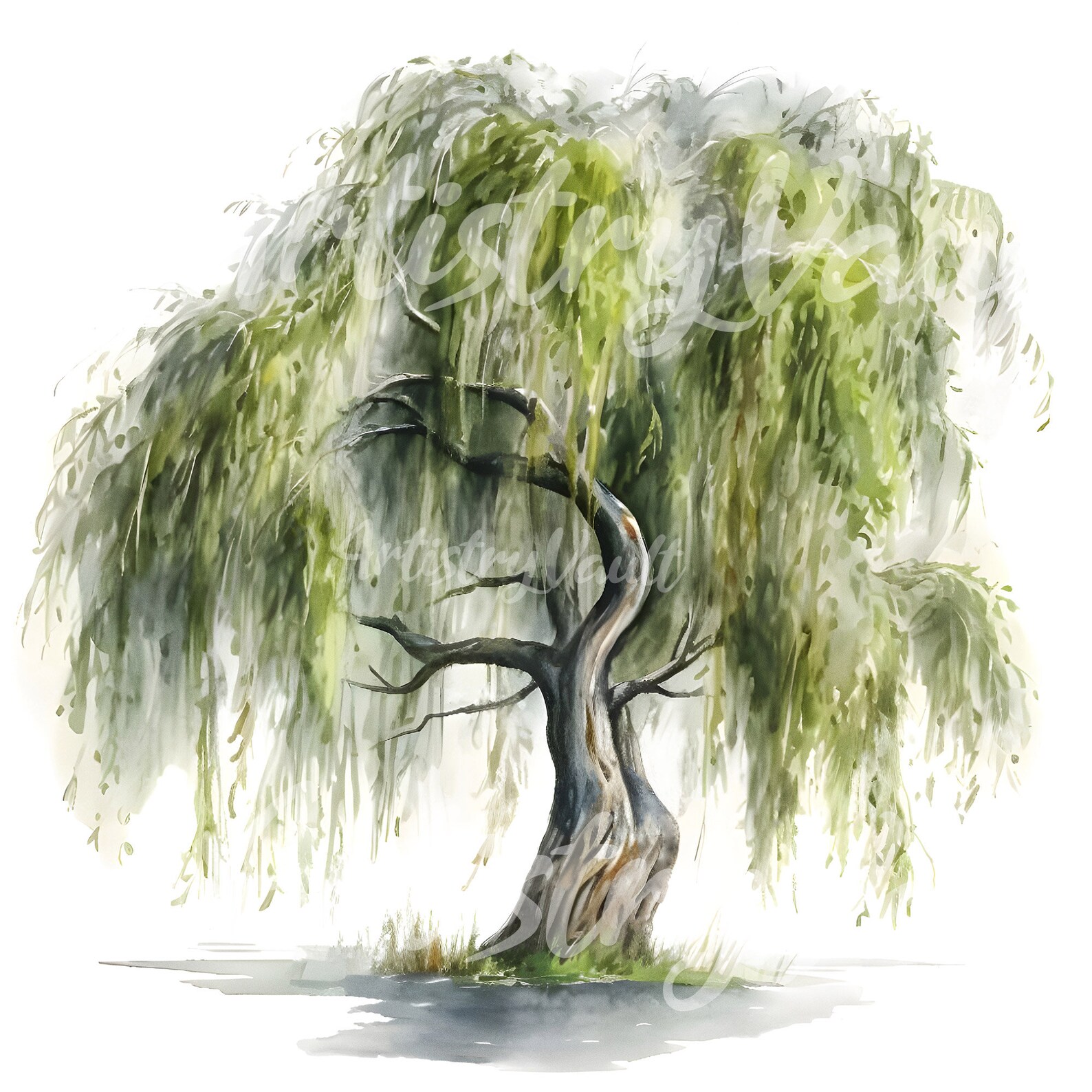 Willow Tree Watercolor Clipart Sallow Shrub JPG Set - Etsy