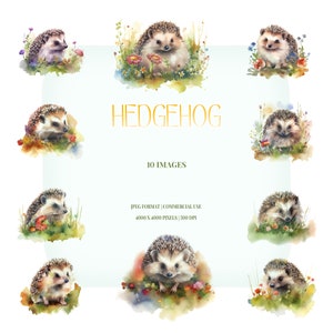 Clipart aquarelle hérisson | Ensemble JPG Meadow Porc-épic | Chambre de bébé, Art mural, Papeterie, Vêtements, Fabrication de cartes, Créations créatives en papier, Agenda, Faire-part