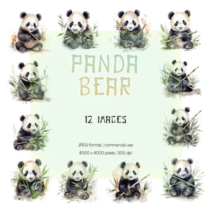 Colección de imágenes prediseñadas de acuarela de panda bebé / Colección de imágenes en formato JPG de oso y bambú / Manualidades con papel digital, fabricación de tarjetas, ropa, arte mural, agenda, papelería DIY
